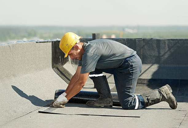 Best Attic Insulation Installation  in Hrisburg, AR