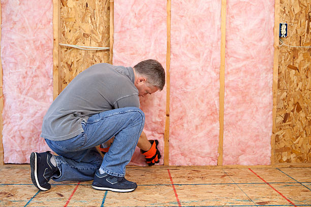Best Insulation Replacement Services  in Hrisburg, AR