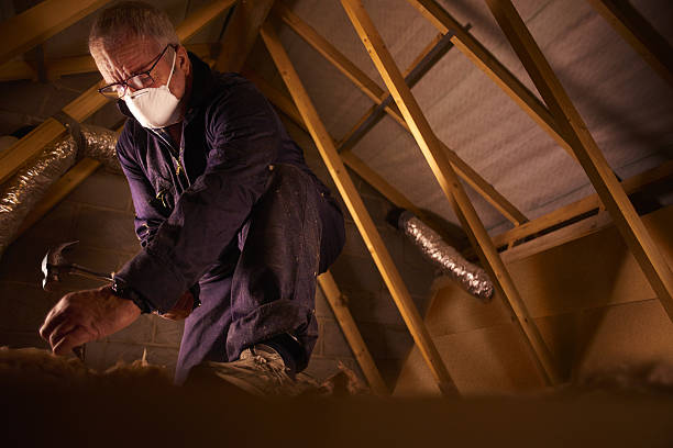 Best Insulation Removal  in Hrisburg, AR